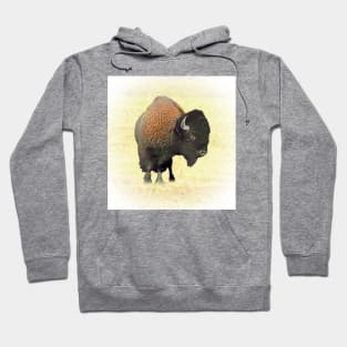 Bison Hoodie